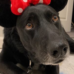 Meet your Posher, Tirany